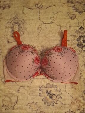 Victoria's Secret Pink Bra with Red Floral Bow Embroidery and Velvet Straps